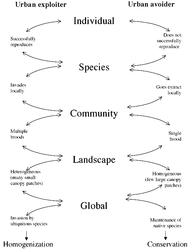 connected by urbanization at multiple levels of biological organization. connected by urbanization at multiple levels of biological organization.
