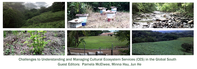 Challenges to Understanding and Managing Cultural Ecosystem Services (CES) in the Global South